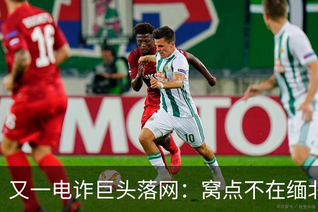 又一电诈巨头落网：窝点不在缅北，在柬埔寨