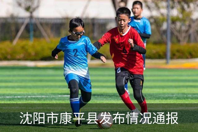 沈阳市康平县发布情况通报