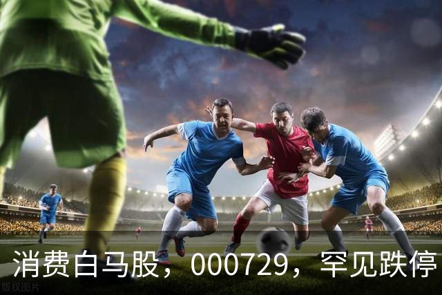 消费白马股，000729，罕见跌停！