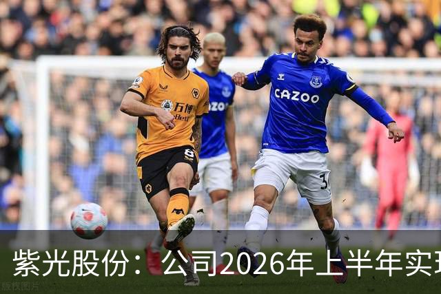 紫光股份：公司2026年上半年实现营业收入635.16亿，同比增长33.93%