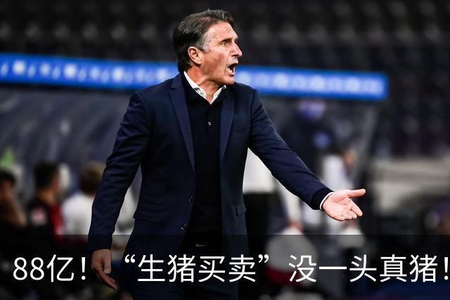 88亿！“生猪买卖”没一头真猪！空手套白狼，国企巨款全被挪走？